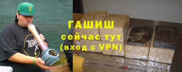 прущие грибы Алзамай