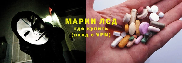 прущие грибы Алзамай