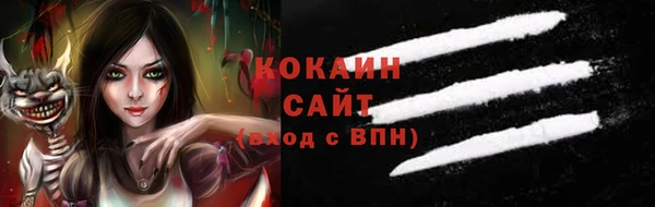 прущие грибы Алзамай