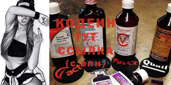 прущие грибы Алзамай