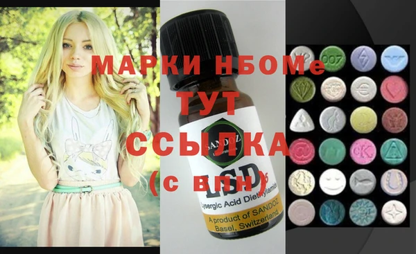 прущие грибы Алзамай